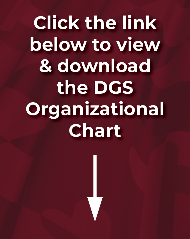 DGS_Organizational_Chart_Web_Graphic.png
